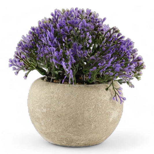 Matera Floral