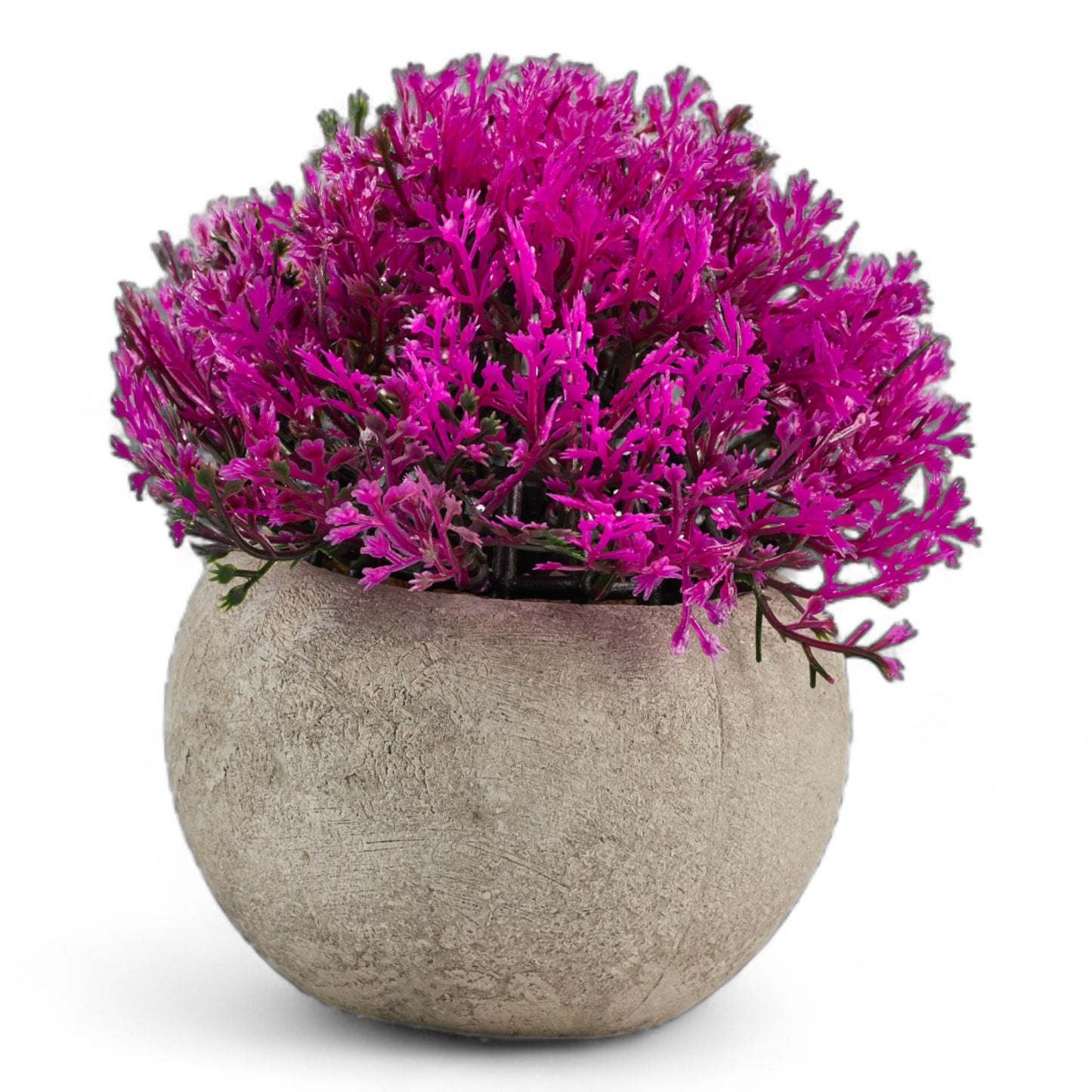 Matera Floral
